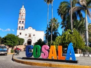cosala